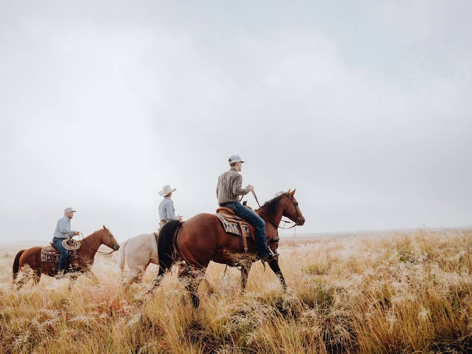 Riders crossing open West Texas ranch land